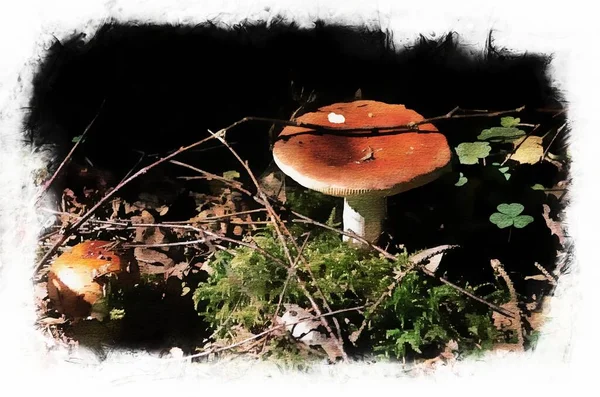 edible mushrooms, mushroom in an autumn forest. Digital watercolor painting.