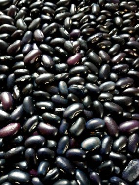Background of many grains of dried colored beans. Bean background and texture