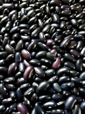Background of many grains of dried colored beans. Bean background and texture