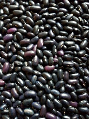 Background of many grains of dried colored beans. Bean background and texture
