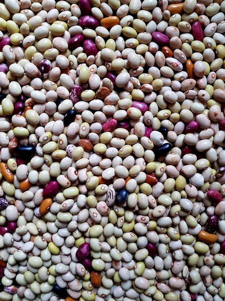 Background Many Grains Dried Colored Beans Bean Background Texture —  Fotos de Stock