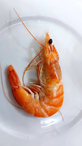 马德里一家老酒馆里有一大盘不同的海鲜 有螃蟹 螃蟹和小龙虾的海鲜盘 — 图库照片