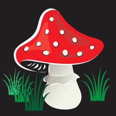 mantar ile çim siyah bir arka plan üzerinde çizim vektör.