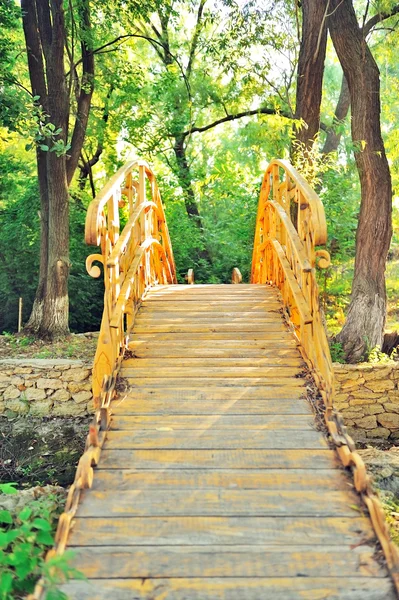 The rise of the wooden footbridge with handrails. — Stock Photo, Image