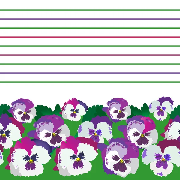 Background violet pansies — Stock Vector