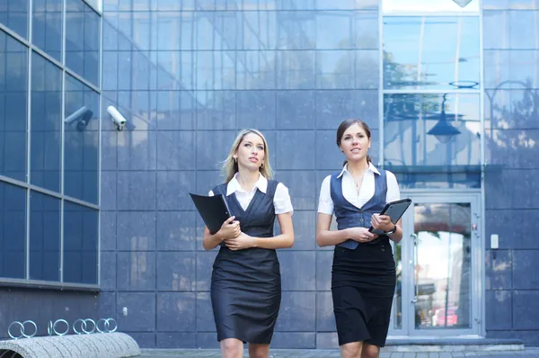 Young attractive business women — Stock Photo, Image