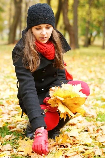 Young attractive girl in autumn park Royalty Free Stock Images