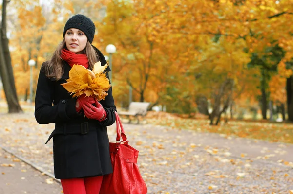 Chica atractiva joven en el parque de otoño Imagen de stock