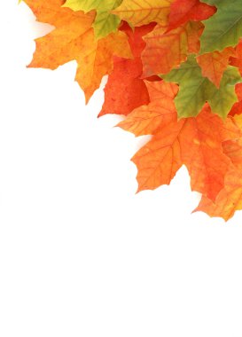 Colorful autumn frame