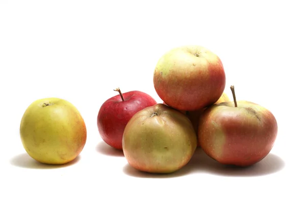 Pommes isolées sur blanc — Photo