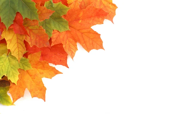 Marco de otoño colorido — Foto de Stock