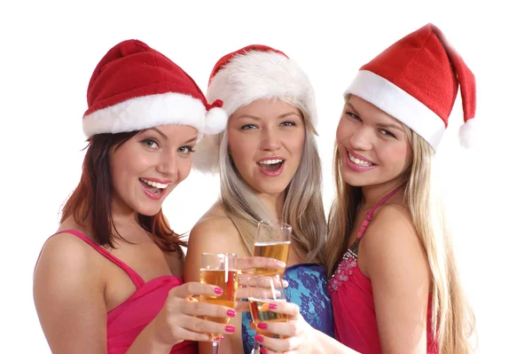 Retrato de grupo de Navidad Imágenes De Stock Sin Royalties Gratis