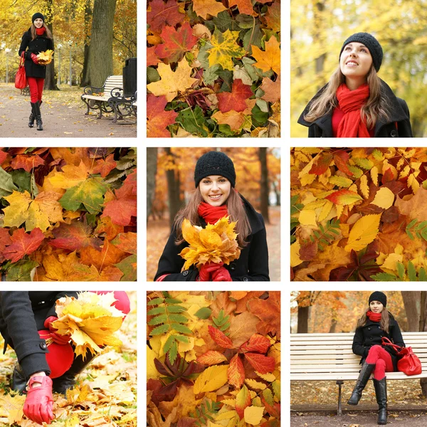 多彩的秋天拼贴画 — 图库照片