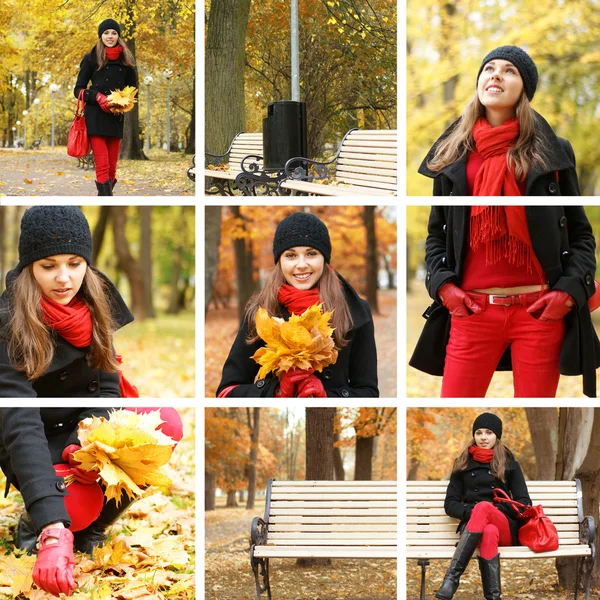 Colorful autumn collage — Stock Photo, Image