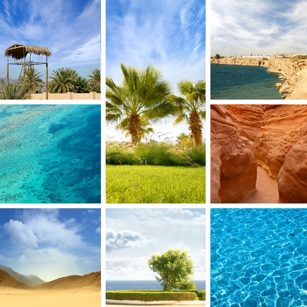 Natur Ägyptens — Stockfoto