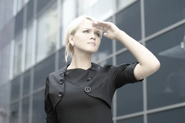 Mujer de negocios —  Fotos de Stock