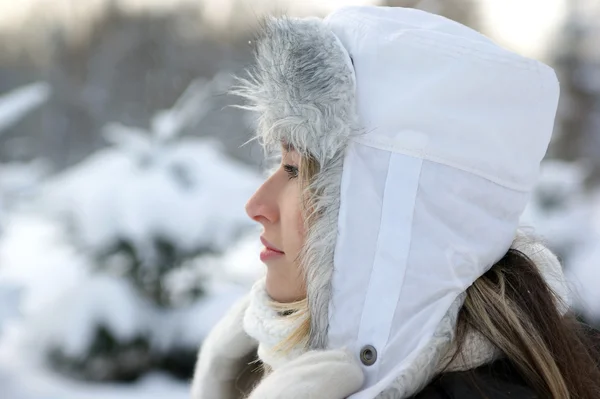 Mujer sobre fondo de invierno Imágenes de stock libres de derechos