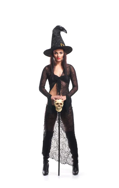 Sexy witch isolated on white — Stock Photo, Image