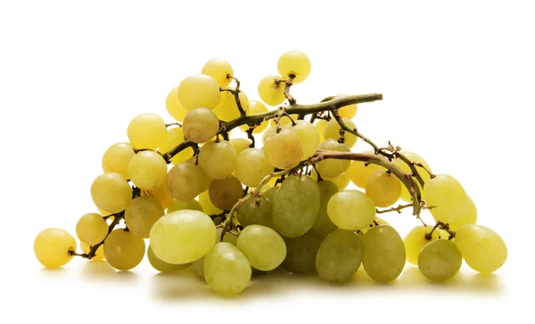 Виноград ізольований на білому — стокове фото