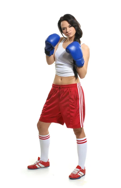 Sexy female fighter isolated on white background Royalty Free Stock Photos