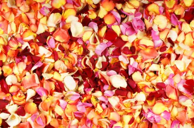 birçok yaprakları parlak fraktal arka plan yaptı