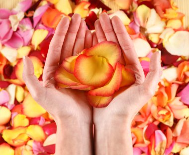 güzel elleri ile çiçek yaprakları