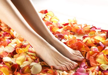 Spa bileşimi bacaklar ve yaprakları