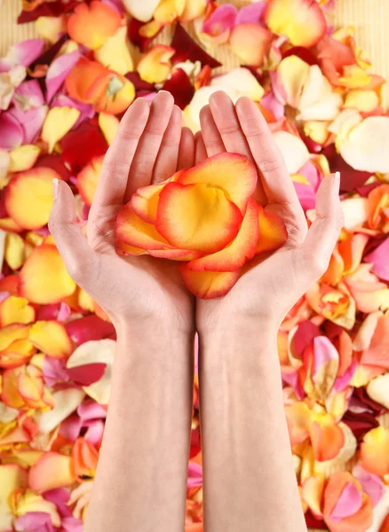 Vackra händer med blomblad — Stockfoto