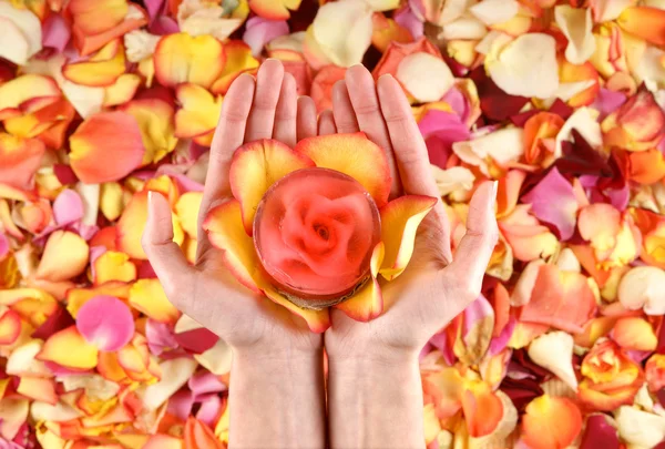 Hermosas manos con los pétalos de flores —  Fotos de Stock