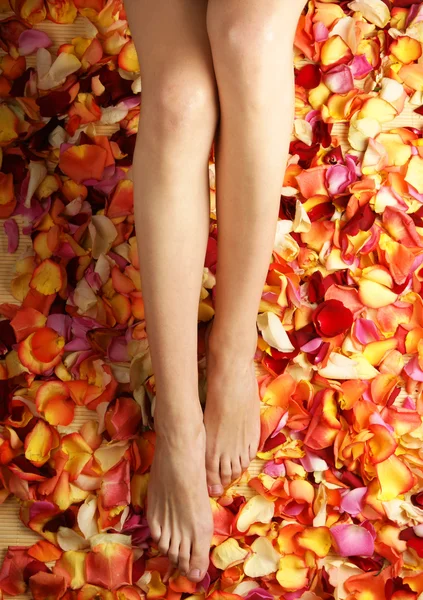 Красиві ноги з пелюстками квітів — стокове фото