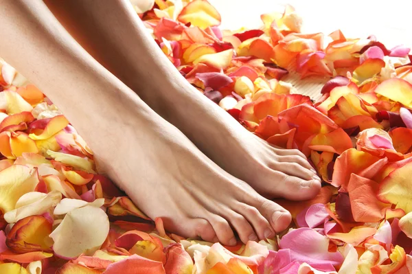 Hermosas piernas con los pétalos de flores — Foto de Stock