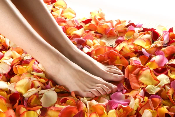 Spa composition of legs and petals — Stock Photo, Image