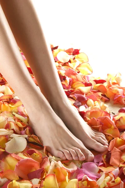 Wellness-Komposition aus Beinen und Blütenblättern — Stockfoto