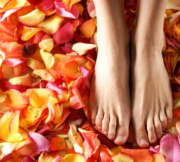 Spa composition of legs and petals — Stock Photo, Image