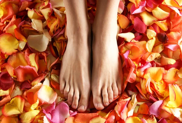 Spa composition of legs and petals — Stock Photo, Image