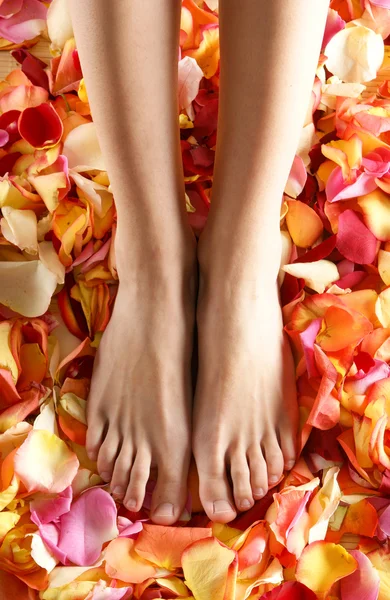 Spa composition of legs and petals — Stock Photo, Image