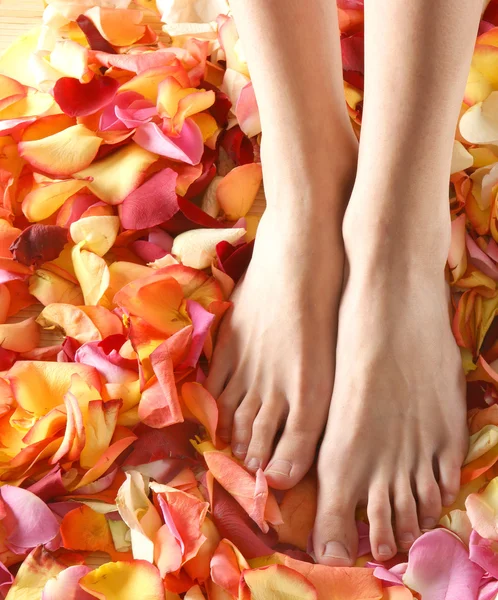 Spa composition of legs and petals — Stock Photo, Image