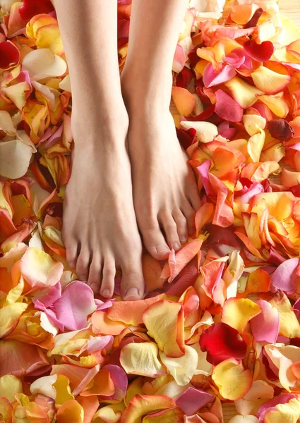 Spa composition of legs and petals — Stock Photo, Image