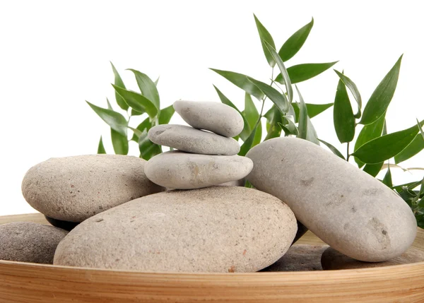 Spa composition made of some flowers, stones and other elements — Stock Photo, Image