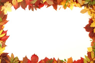 Colorful autumn frame