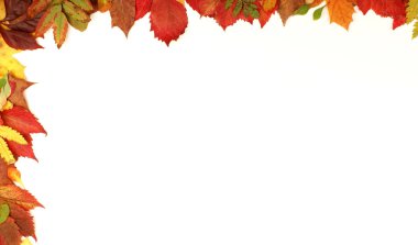 Colorful autumn frame