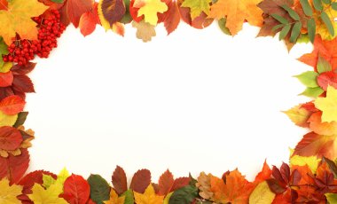 Colorful autumn frame