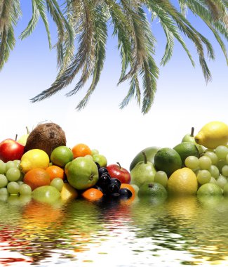 Beyaz üzerine ayrılmış meyveler