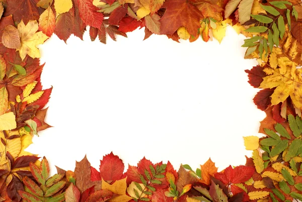 Cornice autunno colorato — Foto Stock