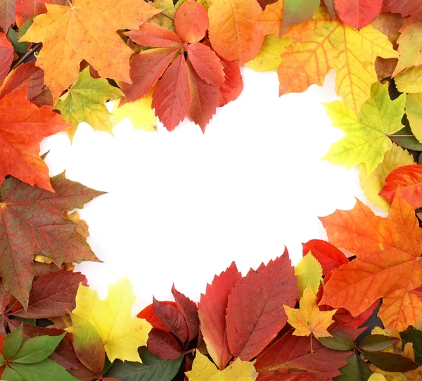 Farbenfroher Herbstrahmen — Stockfoto