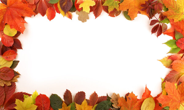 Colorful autumn frame