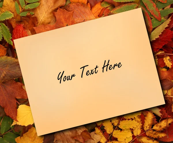 Barevné podzimní rámeček — Stock fotografie