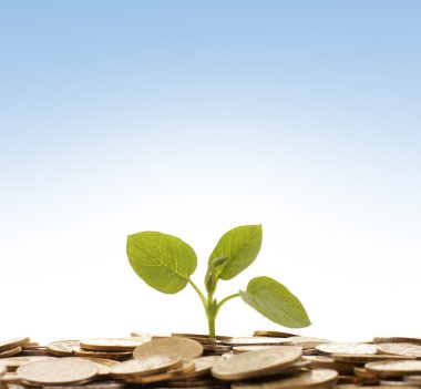 mavi arka plan üzerinde para kavramı