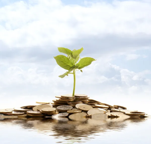 Money — Stock Image Money Royalty Free Stock Photos
