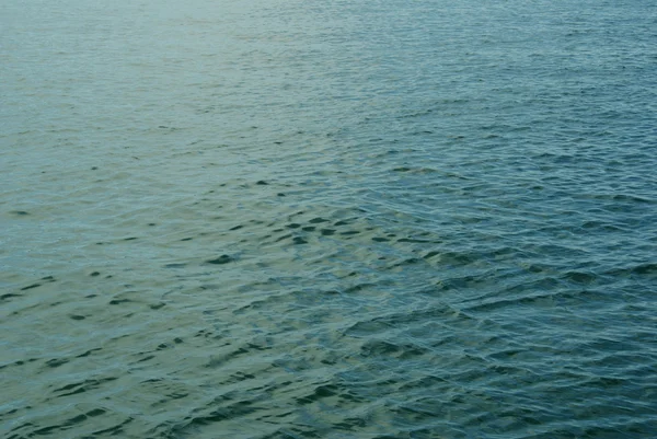 Spur auf dem Wasser — Stockfoto